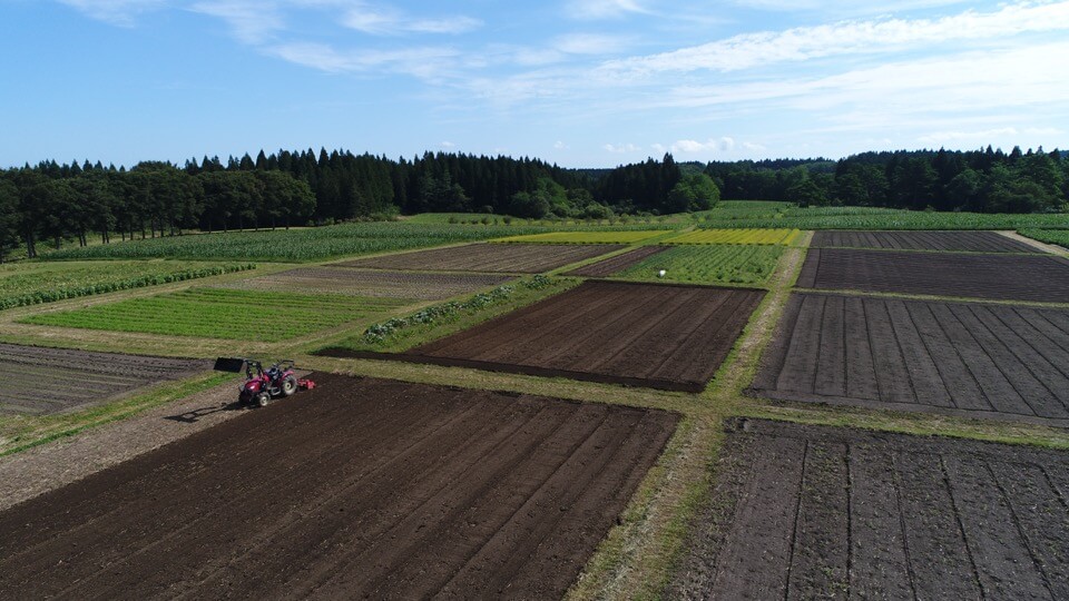 東北牧場の無農薬畑の風景